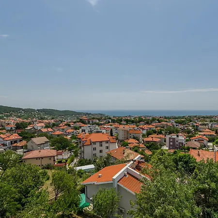 New Vinnie View וארנה